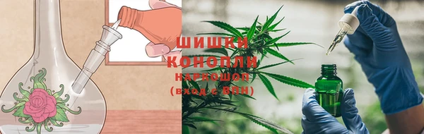 таблы Няндома