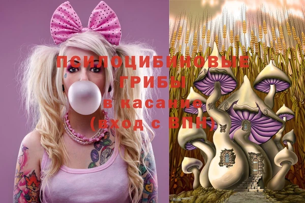 2c-b Нягань