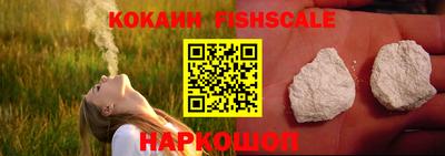 прущие крисы Гатчина