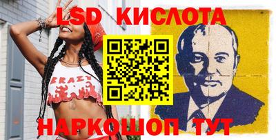 прущие крисы Гатчина