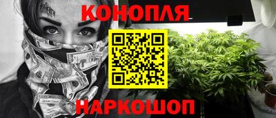 прущие крисы Гатчина