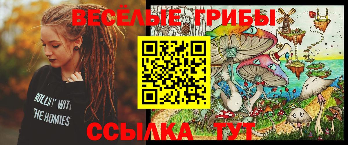 Галлюциногенные грибы Cubensis  Кинешма  Псилоцибиновые грибы Psilocybe 